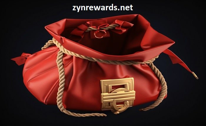 zyn 100 pouches