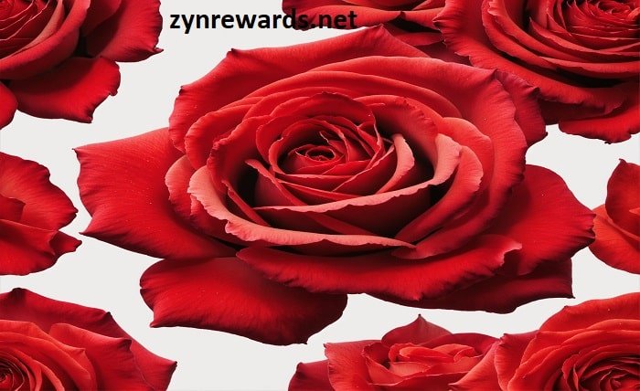 red zyn