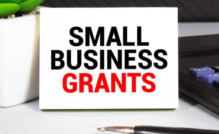 Small Business Grants